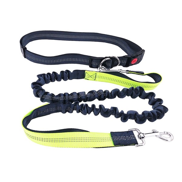 FULARR Premium Quality 4Ft Hands Free Dog Leashes, Adjustable Waist