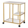 sogesfurniture Gold Bar Cart with 2 Shelves, Wine Glass Bottle