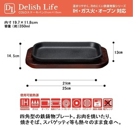 Ishigaki Sangyo Iron Cast Steak Dish, No Handle, Black, Approx. Width 8.3 x Depth 5.1 x Height 0.8 inches (21 x 13 x 2 cm), Delish Life COLO Individual Meal Plate, IH, Direct Fire, Oven Compatible