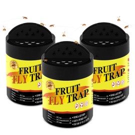 Glovv 3 Pack Fruit Fly Trap for Indoor & Kitchen Use, Reusable Gnat Trap & Fly Catcher with Plant Based Bait, Fruit Killer for House