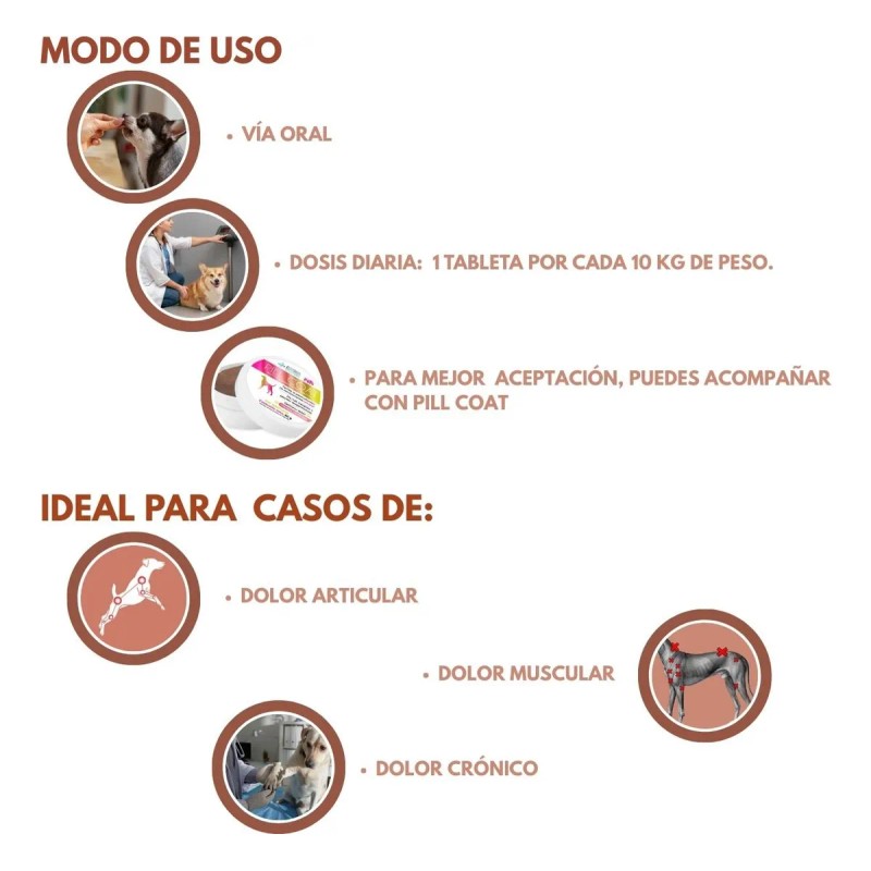 Auxiliar Dolor Perro Dolodog C/antioxidantes 60pz Fancypets