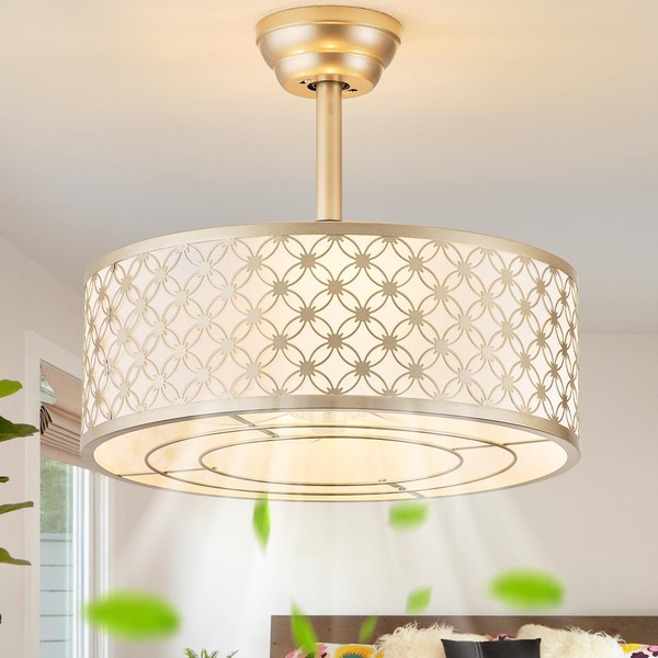 Phrylix Gold Fandelier Ceiling Fan with Light, 20" Caged Gold