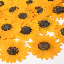 48 Pcs Dried Sunflowers Fall Pressed Flowers for Crafts Mini Sunflowers Petals Nature Pressed Yellow Dried Flowers for Resin Molds Candle Making Soap DIY Art Scrapbooking Supplies