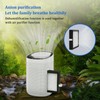 Honati Mini Portable Compact Dehumidifier Air Purifier (1000 ml) Auto