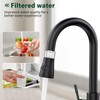 10 Pcs Replacement Filters for Hurran Filtered Kitchen Faucet with