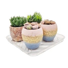 LEMMOM 5 Pack 13.5 inch Square Clear Plastic Plant Saucers, Plant Drip Trays for Pots to Collect Water Drainage for Indoor and Outdoor