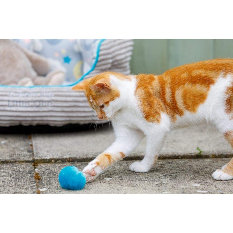 Petface (Little Petface) Pom Poms with Catnip Kitten Cat Toy