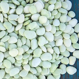 Generic Thorogreen Lima Bean Seeds- 3 lb., White