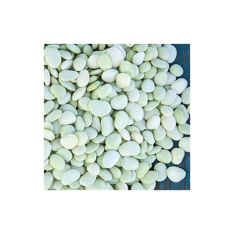 Generic Thorogreen Lima Bean Seeds- 3 lb., White