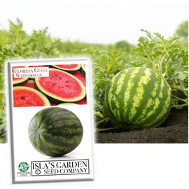 Florida Giant Watermelon Seeds for Planting, 25+ Heirloom Seeds Per Packet, (Isla's Garden Seeds), Non GMO Seeds, Botanical Name: Citrullus lanatus, Great Home Garden Gift