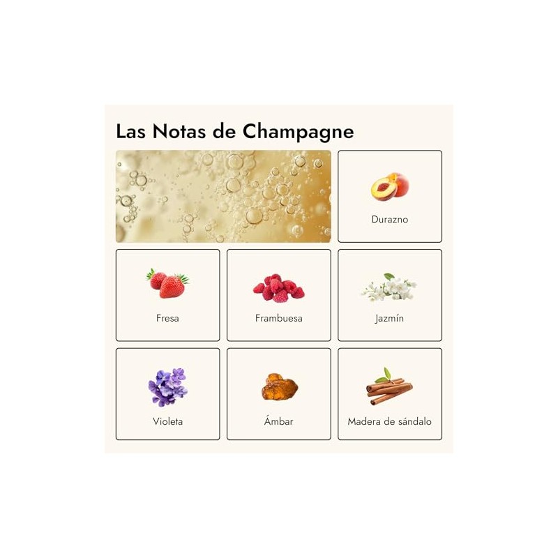 Láminas Detergentes y Lava Trastes Hauss | Sin Plástico, Sin