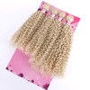 FRELYN Kinky Curly Synthetic Hair Weave 4 Bundles 18 18