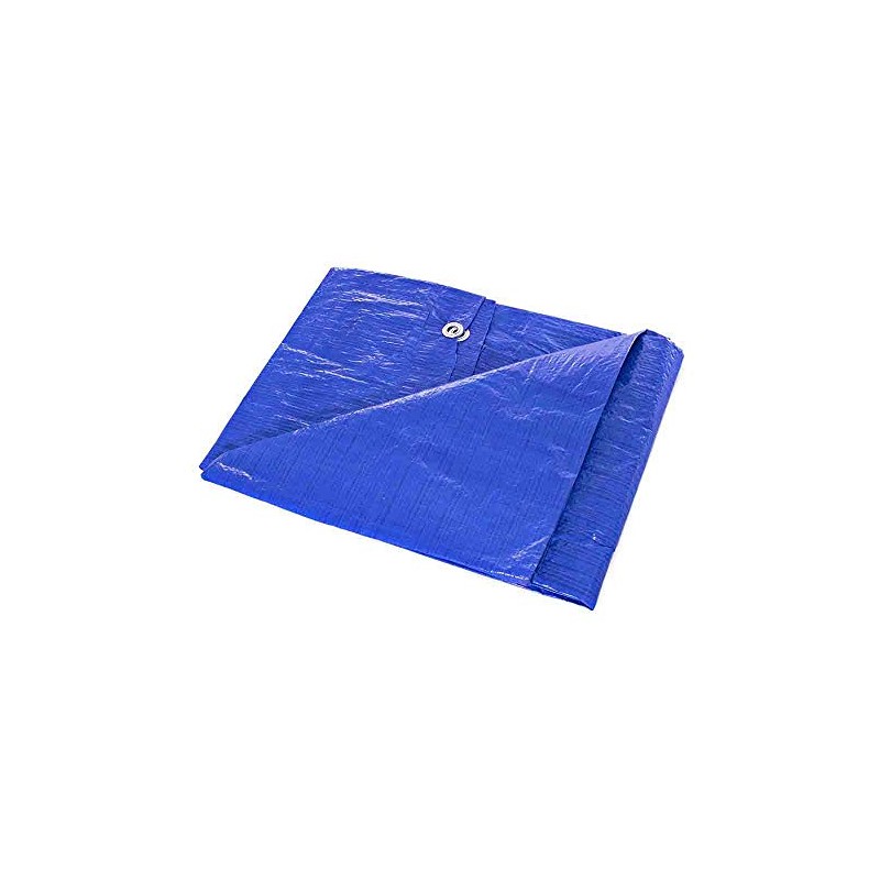 Golberg 6-ft x 8-ft General Purpose Poly Tarp (Blue)