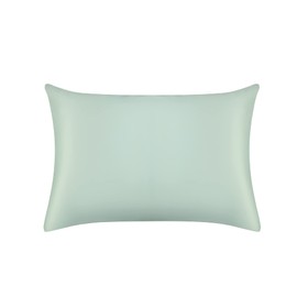 Jasmine Silk 100% 19 Momme Mulberry Charmeuse Silk Pillowcase for Hair and Skin 50 cm x 75 cm Envelope Closure - RRP £35 (Duck Egg)
