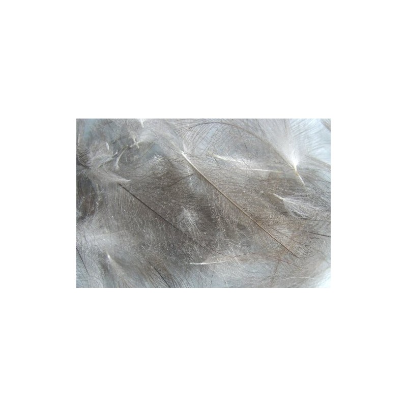 Pechetruite 1g - CDC (Cul de Canard) Feathers - NATURAL