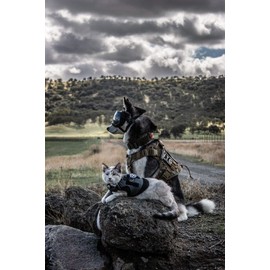 OneTigris Dog Harness Vest with Handle, Military Dog Harness for Large Medium Dogs,FIRE Watcher 2.0 No-Pull Service Dog Vest,Adjustable Dog Vest Harness for Walking Hiking Training(M,Green)