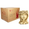 Yanmilia Head Planter Face Flower Pot Goddess Statue Planter Decorative