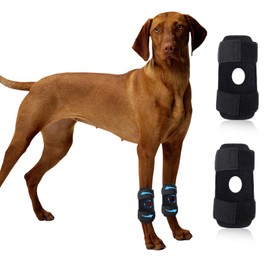 VIOSOON Rodillera para Perro, 2 Pcs Dog Knee Brace (Negro 2pcs M)