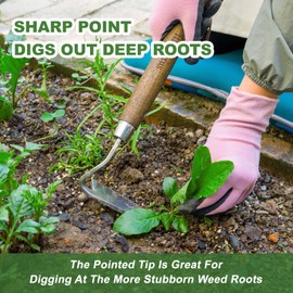 Haliaeetus Japanese Style Hoe, Japanese Bent Angle Weeding Hoe, Stainless Steel Weed Hoe Scraper, 13'' Gardening Weeder Hoe with Ergonomic Wood Handle for Weeding, Loosening Soil and Cultivating