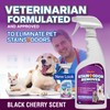 OdorPet Pet Stain Remover and Odor Eliminator - 16 Oz