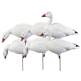 Avery Outdoors Greenhead Gear GHG Pro Grade Snow Goose Full Body Decoys - Harvester Pack
