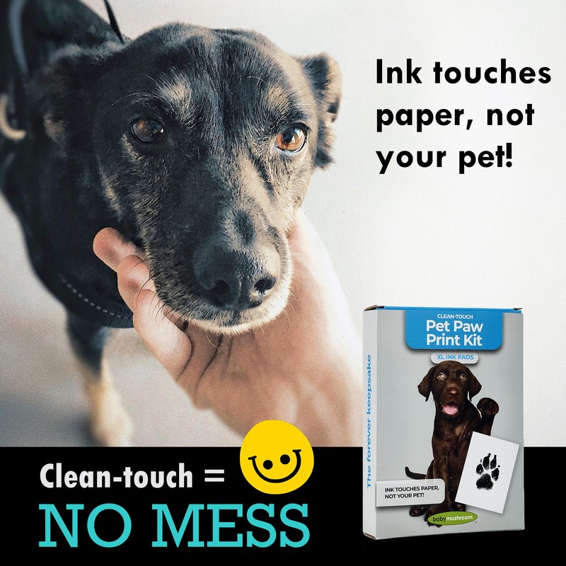 Large Inkless Pet Paw Print Kit | Clean-Touch Ink Pads