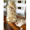 Heritage Sour San Francisco SOURDOUGH STARTER Dehydrated 200+ Yrs Old