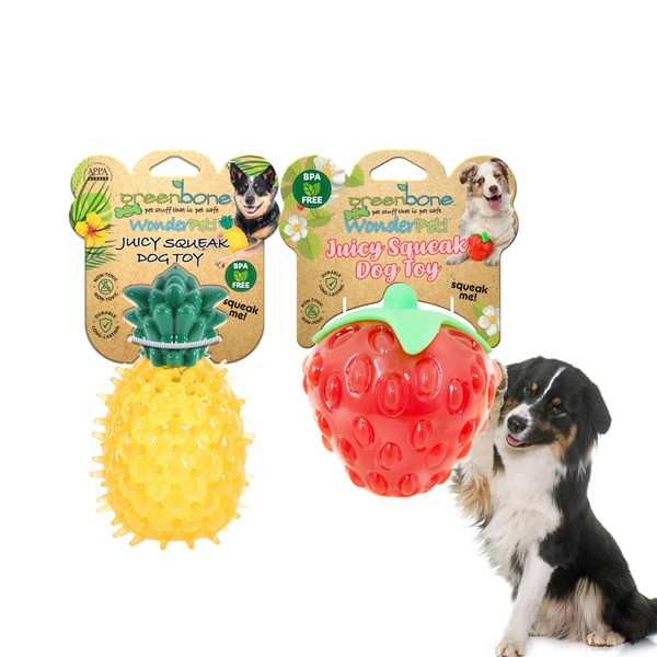 Greenbone Squeak Dog Toy Bundle – Durable Bite-Resistant Fruit Toys