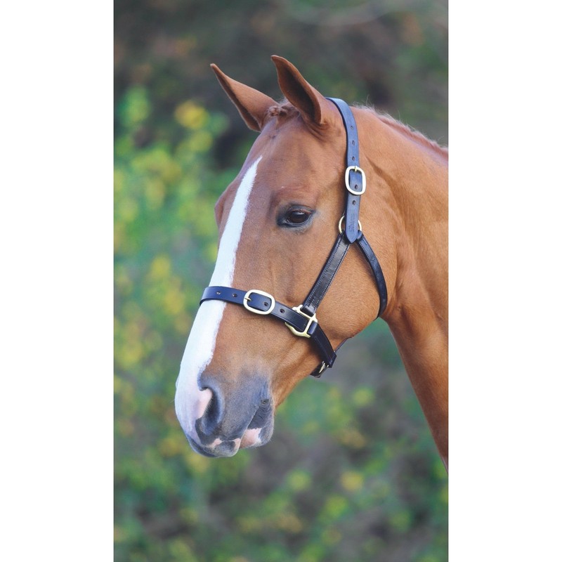 Shires GARA Fully Adjustable Leather Headcollar Foal Black