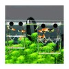 Transparent Acrylic Fish Breeder Box - Double Layer Aquarium Tank