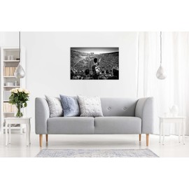 Panther Print Fine Art Prints Black & White Stadium Arena Football Fans Artistic Framed Canvas Print, Pictures for Home Walls, Bedroom, Living Room & Bathroom Decor 31x20cm (12x8in)