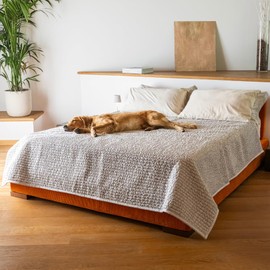 PAULATO BY GA.I.CO. Waterproof Blanket for Bed – Queen Absorbent Couch Cover for Intimacy – Machine Washable Stain-Proof Pad for Large Sofa – Pets Dogs & Cats Friendly Protector