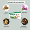 500 Xtra Forte – Organic Milk Thistle Reishi Mushroom –
