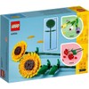 Promo-Dis Botanical 40524 Sunflower Set from 8 Years