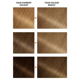 Garnier Belle Colour Medium Blonde 8