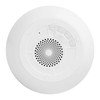 Floating Pool Speaker IPX7 Waterproof 360 Degree Stereo Sound Portable