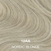 COLORCHARM Permanent Liquid Hair Color | 12AA Nordic Blonde |