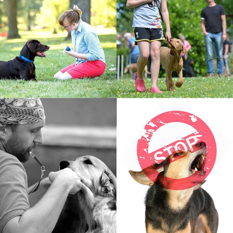XBD Gears Dog Whistle Adjustable Scale Ultrasonic Dog Whistle for