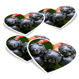 Vinyl Heart Stickers (Set of 4) 10cm - Black Chokeberry Fruit Plant Nature for Laptops, Tablets, Luggage, Scrap Booking, Fridges #52642