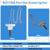 R0317200 Pilot Gas System Ignitor Compatible With Zodiac Jandy Lite2LD