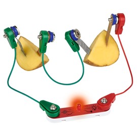 moses. PhänoMINT The Ingenious Experiment Box, Electric Energy Experiment Box for Children, DIY Circuit Construction Kit, Educational Toy from 8 Years, Medium