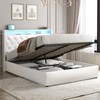 Loomie Queen Lift Up Bed Frame with Charging Station&LED Lights,Leather