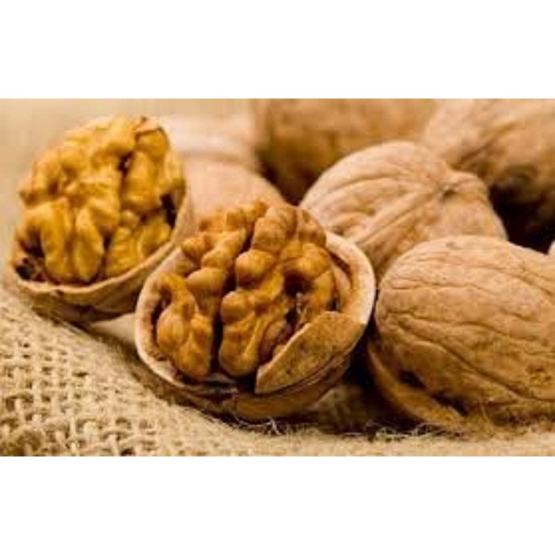 In Shell Walnuts (2.5 Lbs.) - Large Natural California Walnuts
