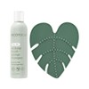 EcoTools Almohadilla de limpieza de brochas de maquillaje + paquete