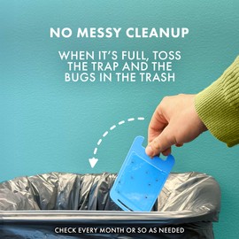 STEM Light Trap Refill Cartridges, Indoor Fruit Fly Trap, Effective Insect Control for Home, Attracts and Traps Flying Insects, Compatible with STEM Light Trap, 8 Count