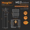 HANGLIFE M2.5 Threaded Inserts with Soldering Tips, Melting Aid, Press-in