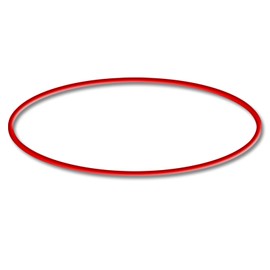 Replacement Part: SunSun CSF 500 Pond Sand Filter O-Ring 1