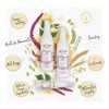 Kit Liss Yellow Shampoo Acondicionador 500mlcu Antifrizz