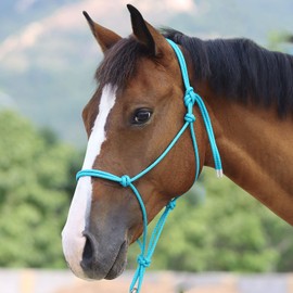Harrison Howard Rope Halter for Horses - Super Sturdy Training Halter with 2 Knot 1/4" Stiff Cord - Size Large - Turquoise