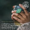 Pukka Three Mint Organic Herbal Tea Bags, After-Dinner Tea, Bags,